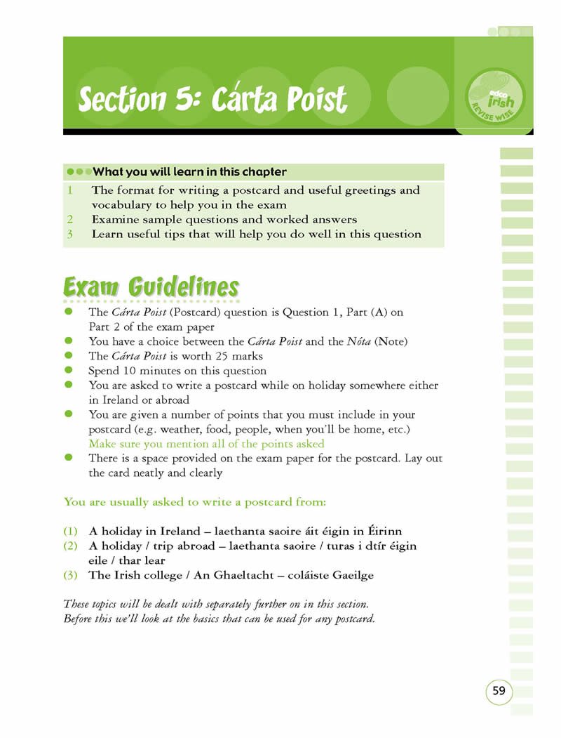 ordinary level irish essay